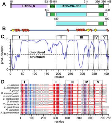 Structural Characterization of the RNA-Binding Protein SERBP1 Reveals Intrinsic Disorder and Atypical RNA Binding Modes